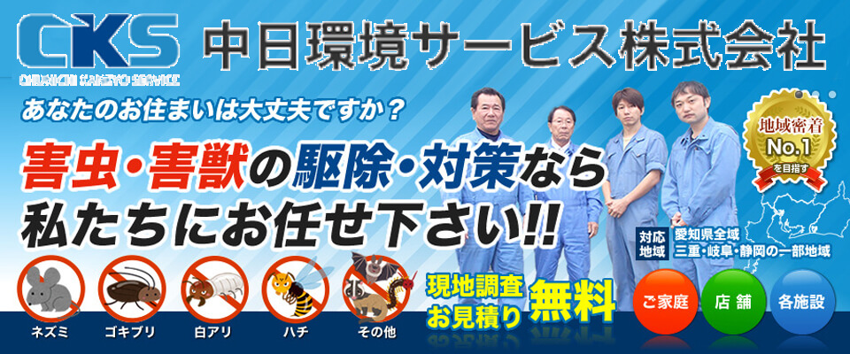 愛知県のネズミ駆除のおすすめ業者を1社ご紹介 昭和52年設立 ネズミ駆除歴44年の駆除専門業者