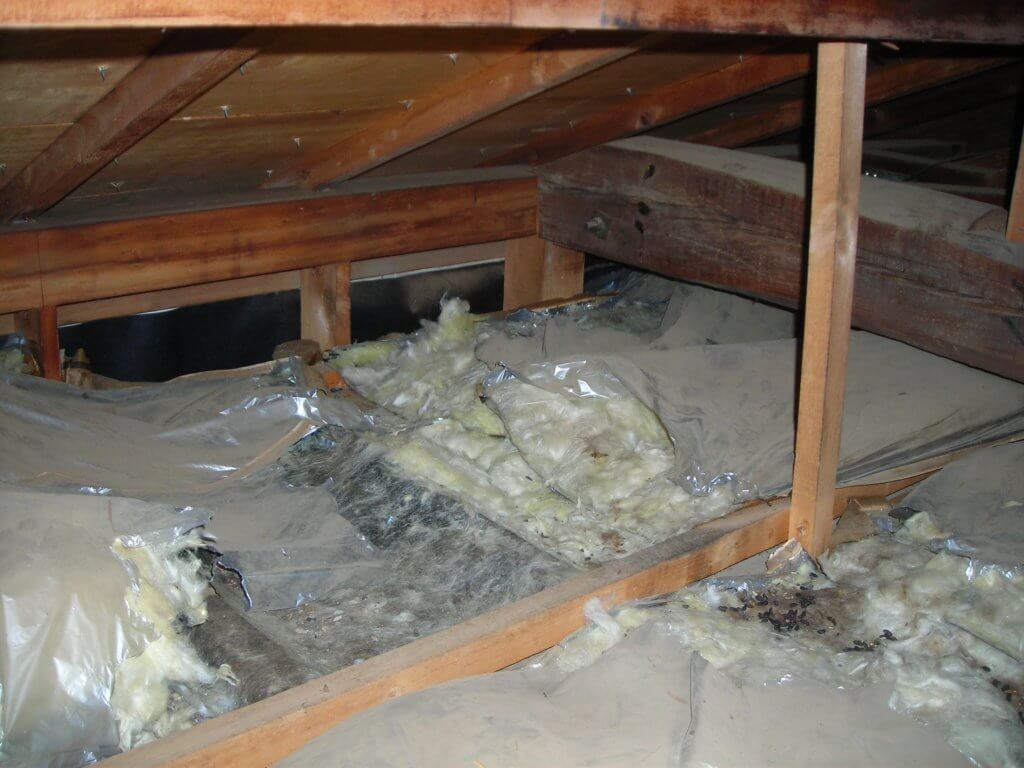 天井裏のネズミによる被害で断熱材が食い破られている様子