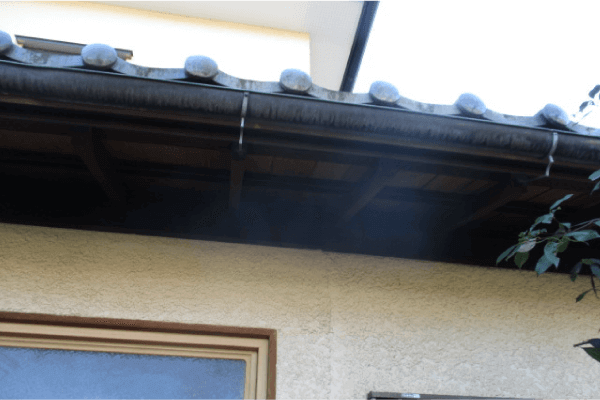 屋根と壁の隙間のネズミ侵入チェック