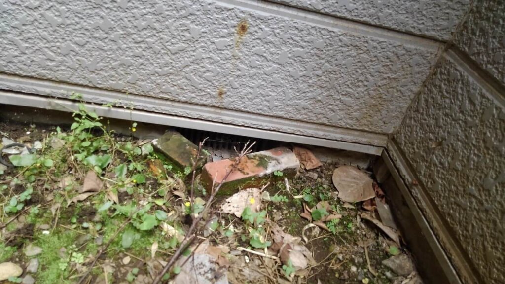 家の床下からネズミが入れる隙間が開いている